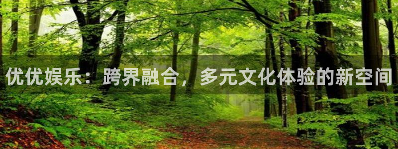 深圳市君临国际货运代理有限公司：优优娱乐：跨界融合，多元文化体验的新空间