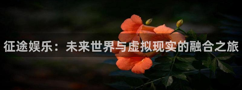 君临国际酒店：征途娱乐：未来世界与虚拟现实的融合之旅